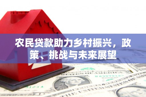 南陵农民贷款助力乡村振兴，政策、挑战与未来展望