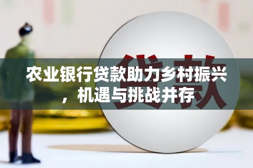 南陵农业银行贷款助力乡村振兴，机遇与挑战并存