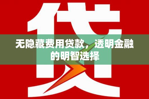 南陵无隐藏费用贷款，透明金融的明智选择