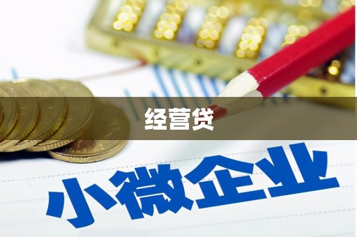 南陵经营贷