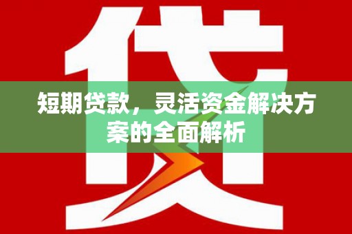 南陵短期贷款，灵活资金解决方案的全面解析