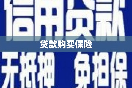 南陵贷款购买保险