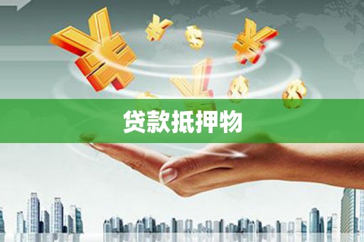 南陵贷款抵押物