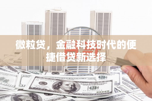 南陵微粒贷，金融科技时代的便捷借贷新选择