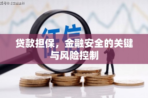 南陵贷款担保，金融安全的关键与风险控制