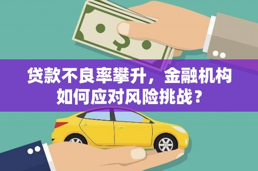 南陵贷款不良率攀升，金融机构如何应对风险挑战？
