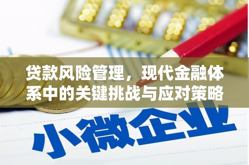 南陵贷款风险管理，现代金融体系中的关键挑战与应对策略