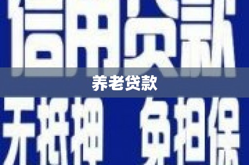 南陵养老贷款