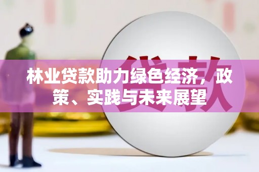 南陵林业贷款助力绿色经济，政策、实践与未来展望