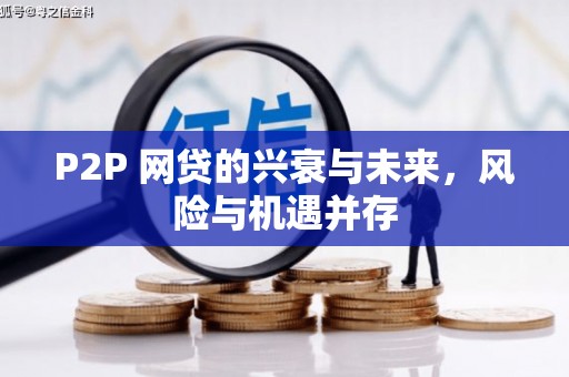 南陵P2P 网贷的兴衰与未来，风险与机遇并存