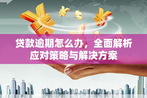 南陵贷款逾期怎么办，全面解析应对策略与解决方案