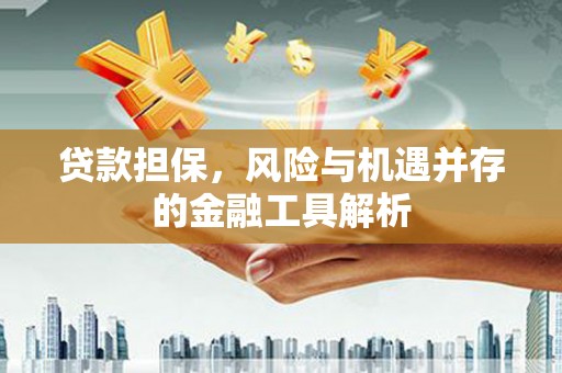 南陵贷款担保，风险与机遇并存的金融工具解析