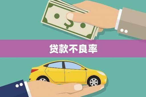 南陵贷款不良率