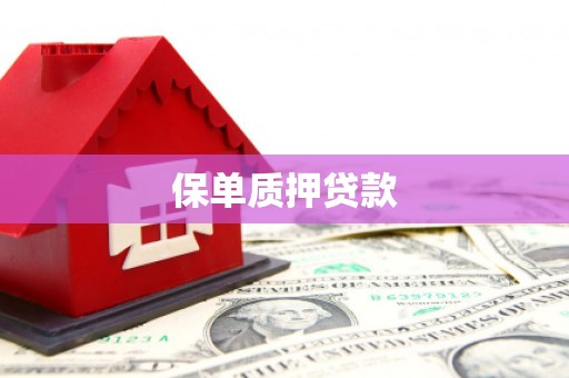 南陵保单质押贷款