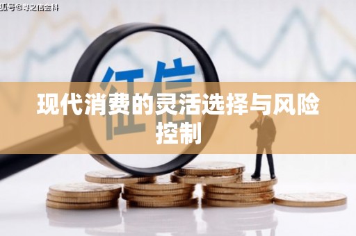南陵现代消费的灵活选择与风险控制