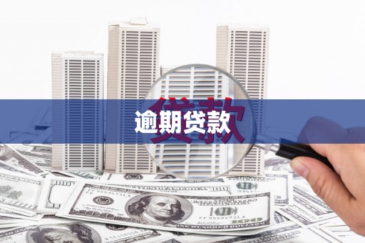 南陵逾期贷款