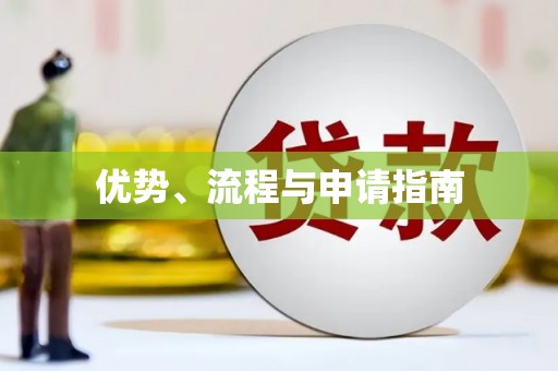 南陵优势、流程与申请指南