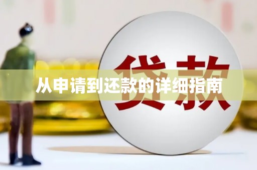 南陵从申请到还款的详细指南