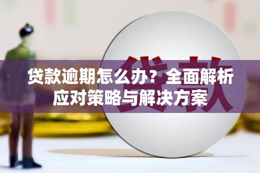 南陵贷款逾期怎么办？全面解析应对策略与解决方案