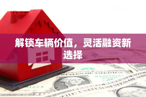 南陵解锁车辆价值，灵活融资新选择