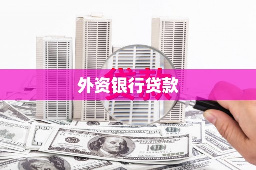 南陵外资银行贷款