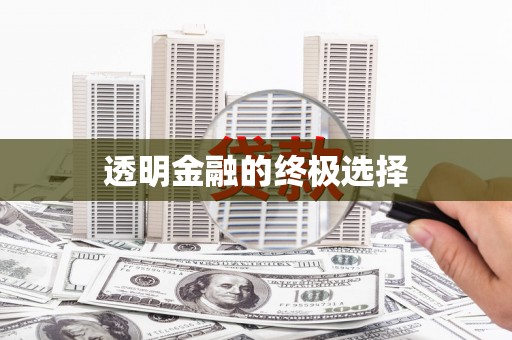 南陵透明金融的终极选择