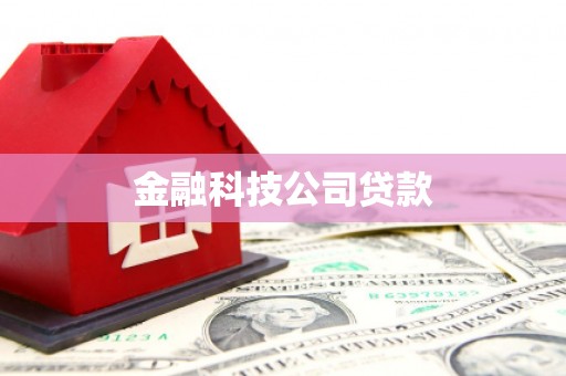 南陵金融科技公司贷款