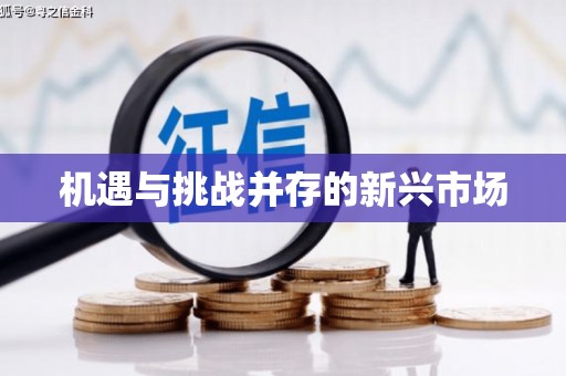 南陵机遇与挑战并存的新兴市场