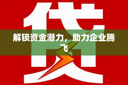 南陵解锁资金潜力，助力企业腾飞