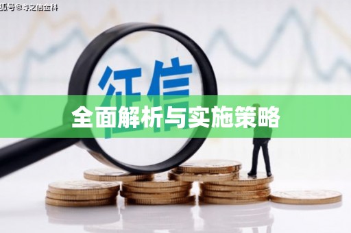 南陵全面解析与实施策略