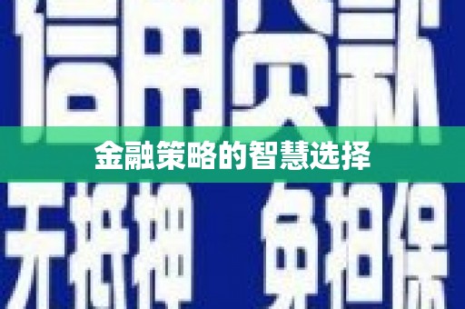 南陵金融策略的智慧选择
