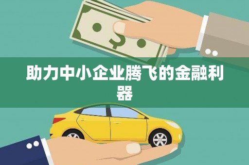 南陵助力中小企业腾飞的金融利器