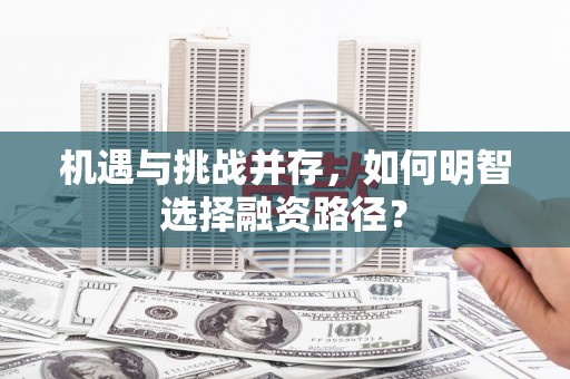 南陵机遇与挑战并存，如何明智选择融资路径？