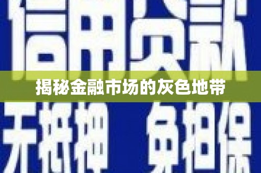 南陵揭秘金融市场的灰色地带