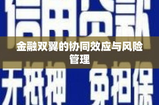 南陵金融双翼的协同效应与风险管理
