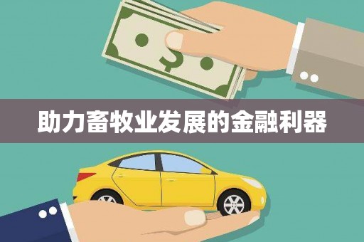 南陵助力畜牧业发展的金融利器