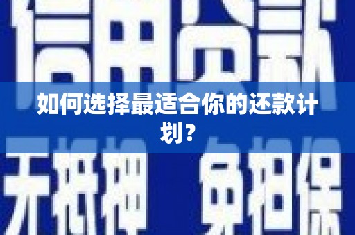 南陵如何选择最适合你的还款计划？