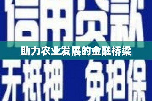 南陵助力农业发展的金融桥梁