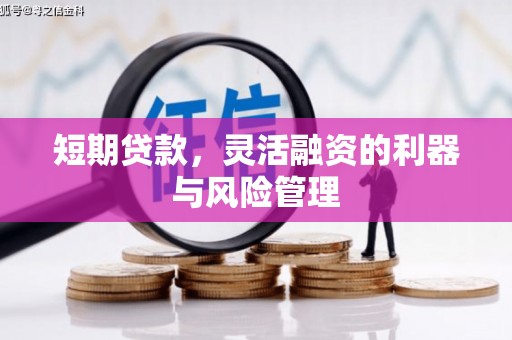 南陵短期贷款，灵活融资的利器与风险管理