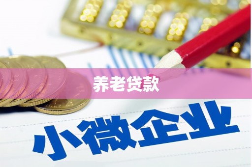南陵养老贷款