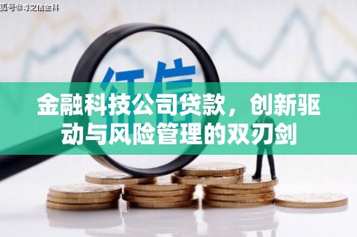 南陵金融科技公司贷款，创新驱动与风险管理的双刃剑