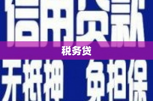 南陵税务贷
